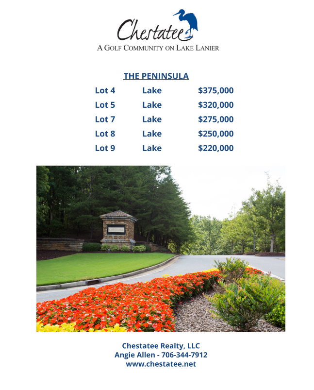 chestatee lot2